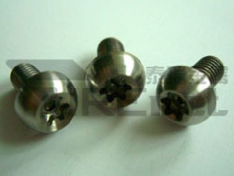 Titanium Torx Bolt